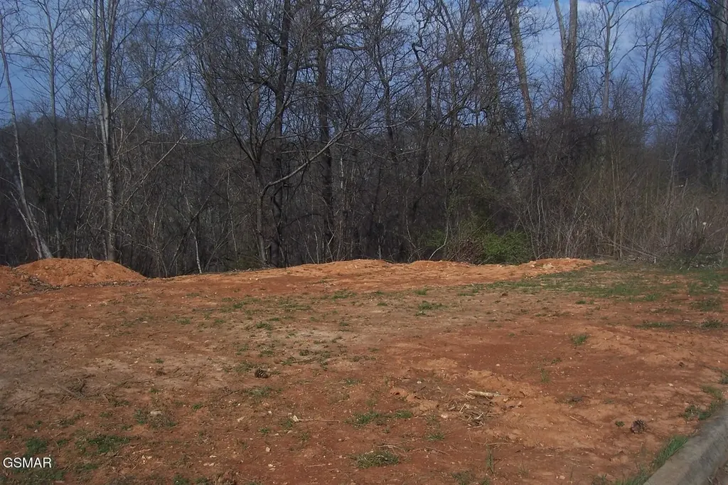 141 Low Valley Road Dandridge TN 37725