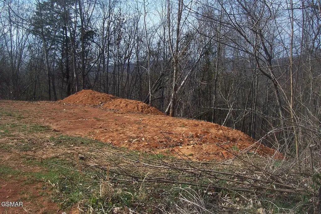 141 Low Valley Road Dandridge TN 37725
