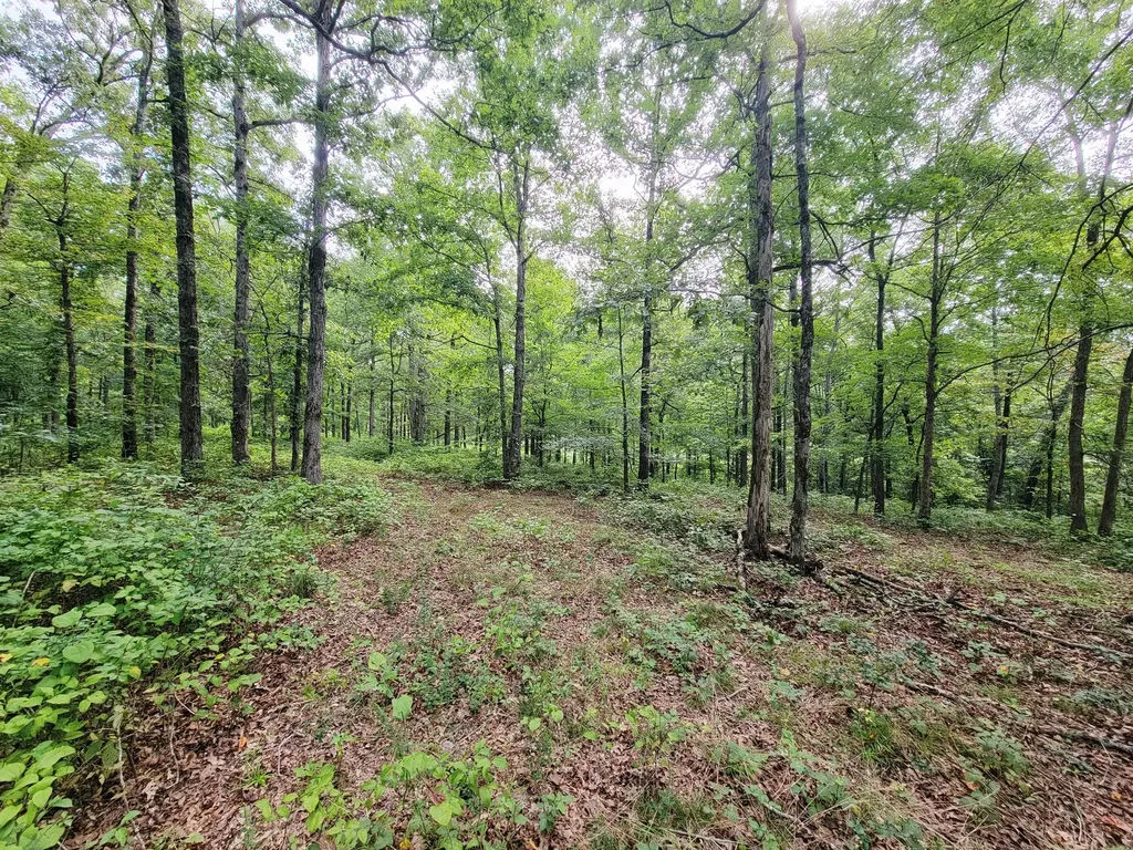 0 Ridgewood Drive Mc Ewen TN 37101