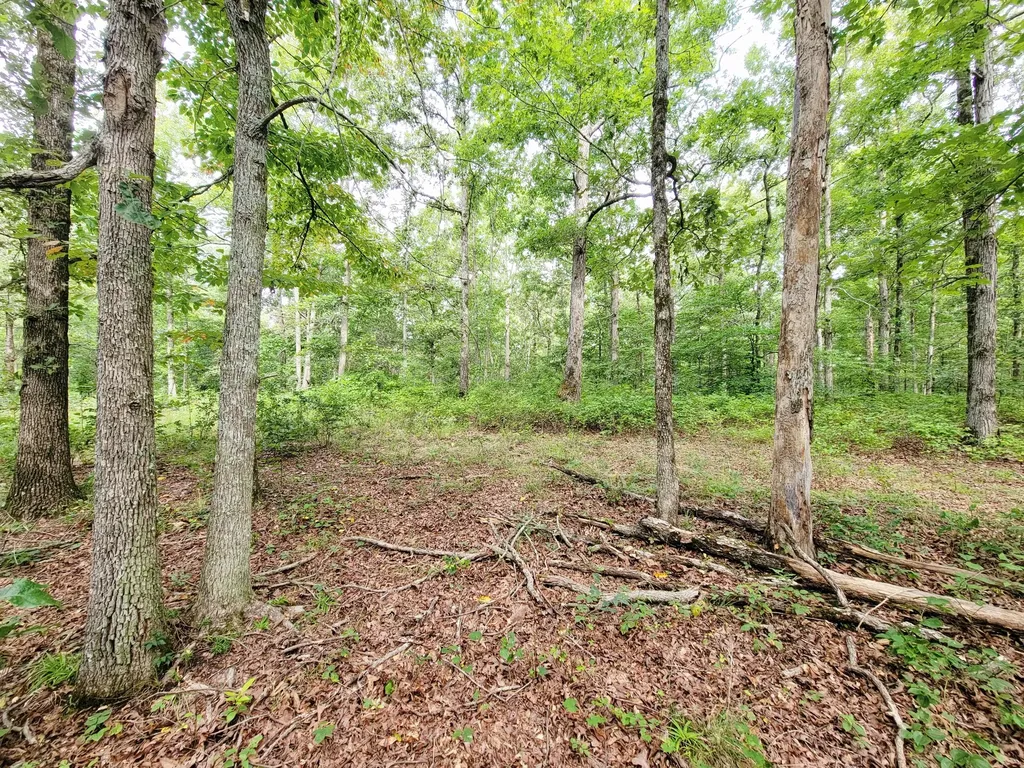 0 Ridgewood Drive Mc Ewen TN 37101