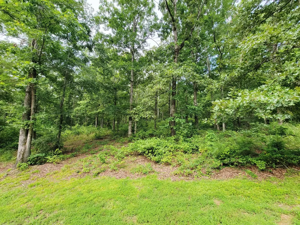 0 Ridgewood Drive Mc Ewen TN 37101
