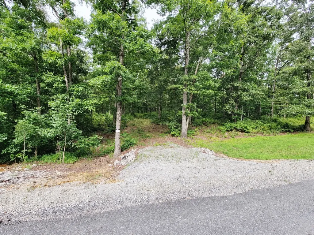 0 Ridgewood Drive Mc Ewen TN 37101