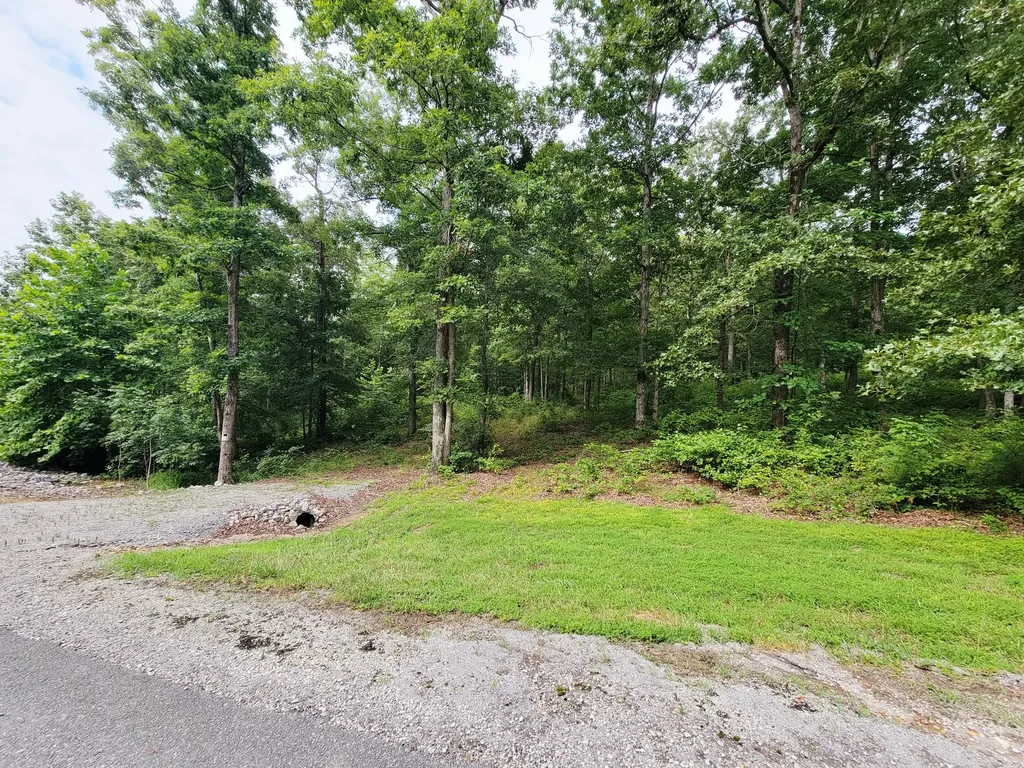 0 Ridgewood Drive Mc Ewen TN 37101
