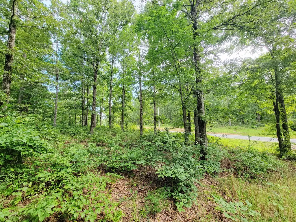 0 Ridgewood Drive Mc Ewen TN 37101