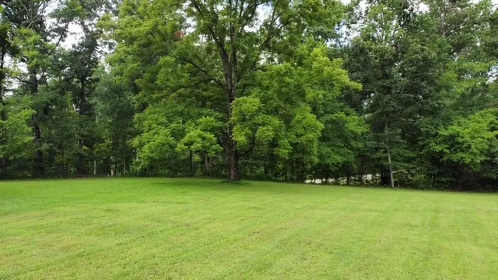 7398 Forrest Glenn Road Fairview TN 37062