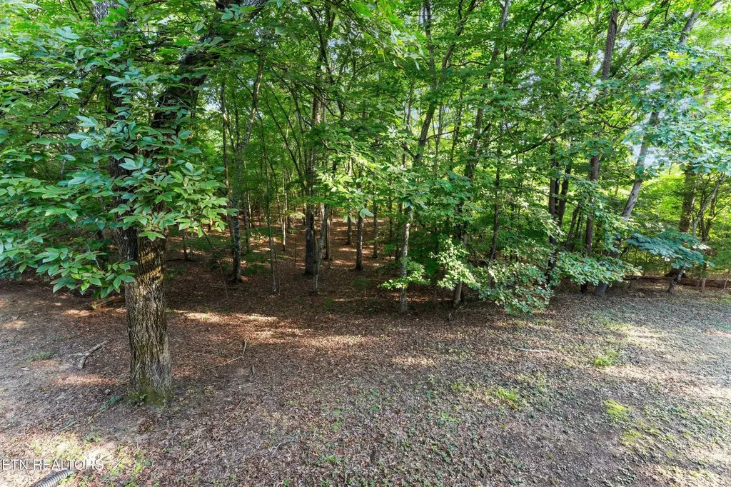 9809 Fairview Road Lenoir City TN 37772