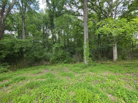 109 Rankin Road Gruetli Laager TN 37339
