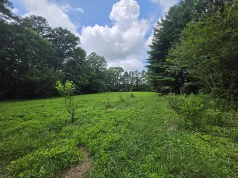 109 Rankin Road Gruetli Laager TN 37339