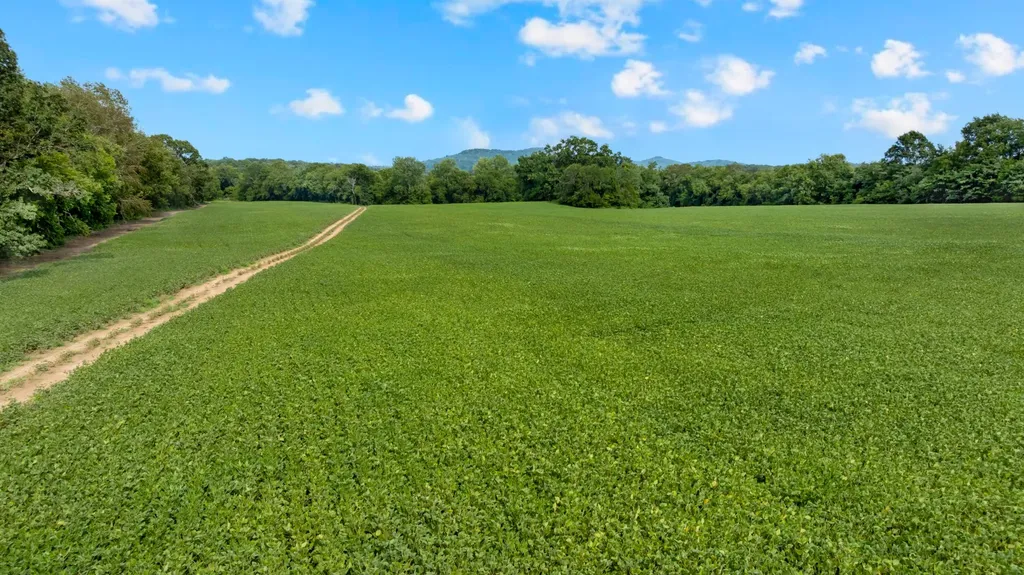0 South Commerce Road Watertown TN 37184