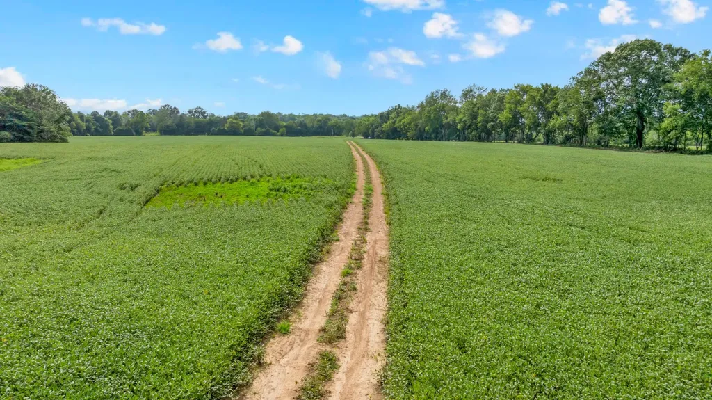 0 South Commerce Road Watertown TN 37184
