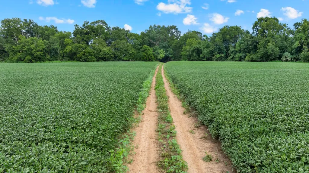 0 South Commerce Road Watertown TN 37184