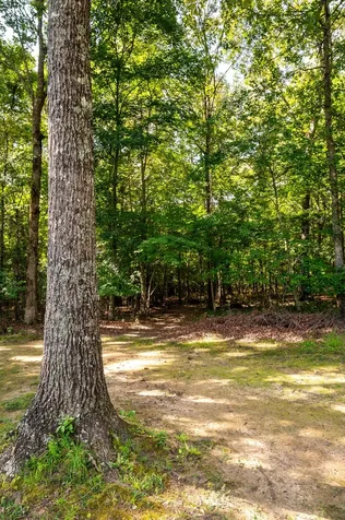 1012 Bonner Way Estill Springs TN 37330