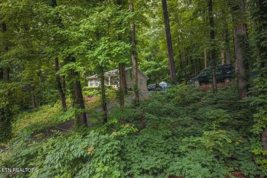 1215 Navy Drive Knoxville TN 37920