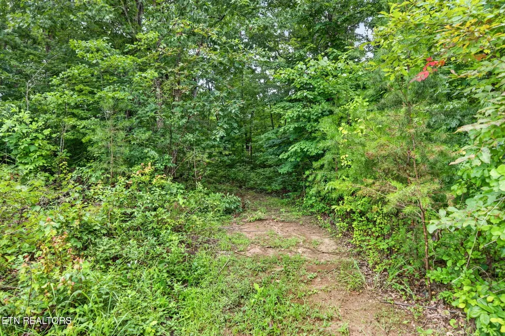 460 Jim Garrett Road Monterey TN 38574