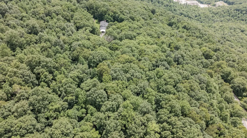 165 Paglen Ridge Drive Pikeville TN 37367