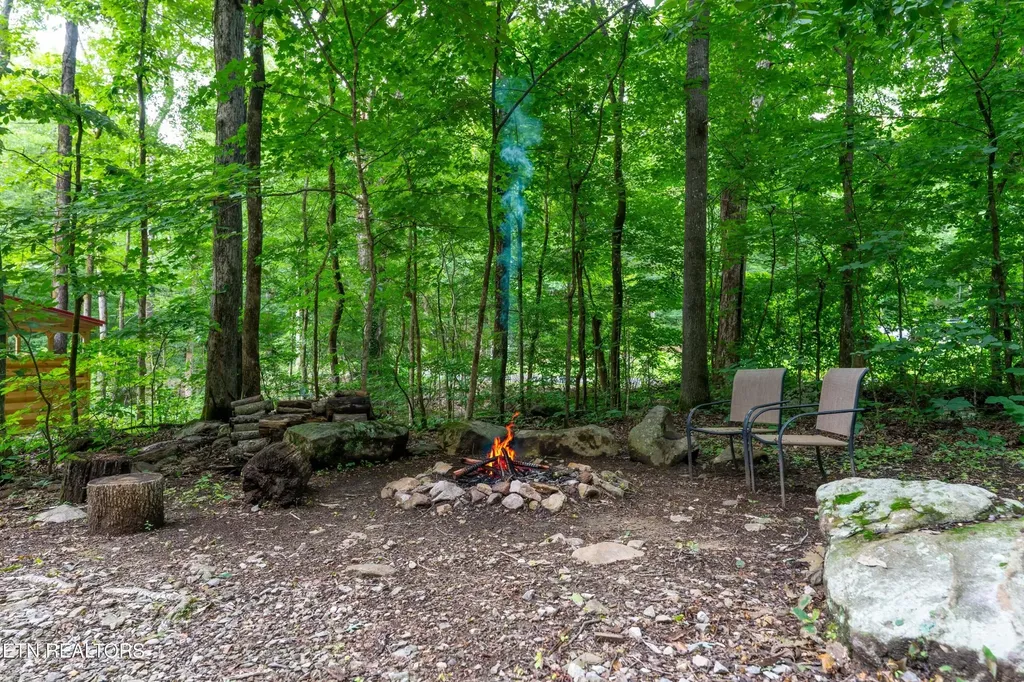 1827 Old Chilhowee Loop Seymour TN 37865