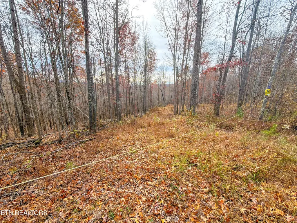 9745 Morgan County Highway Sunbright TN 37872