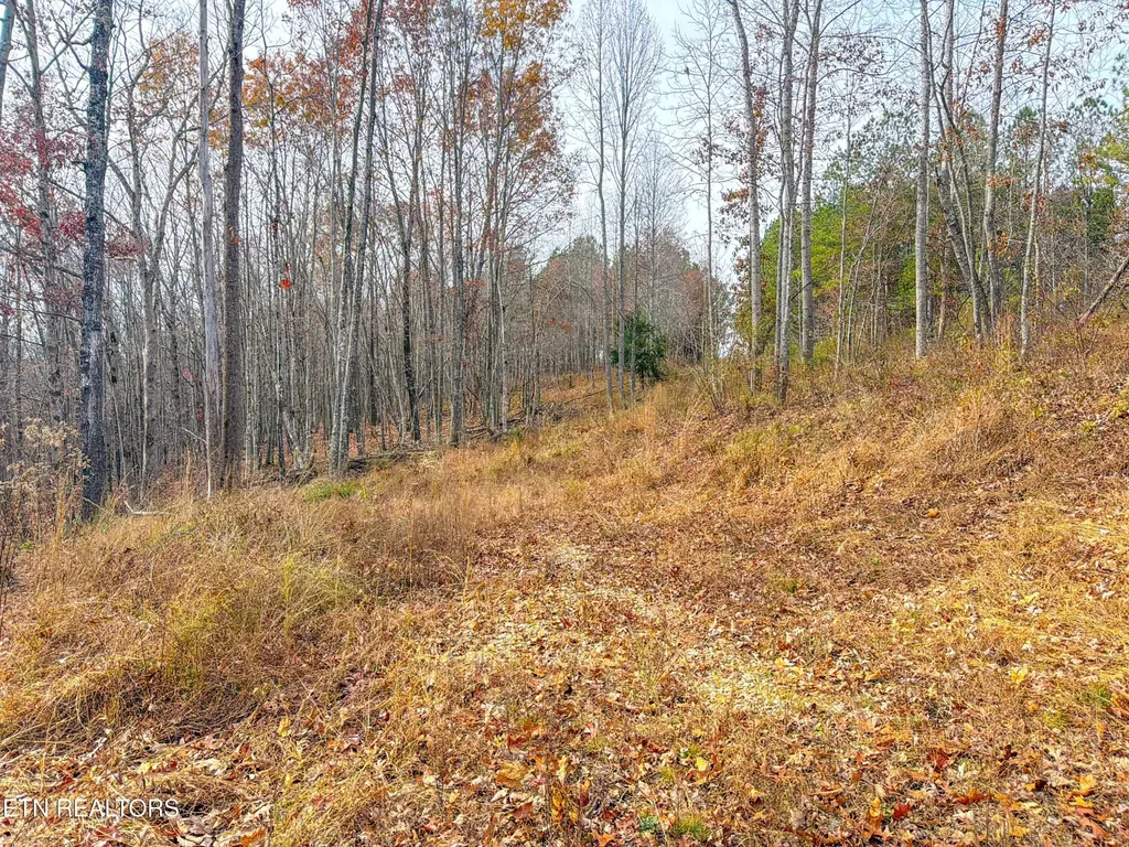 9745 Morgan County Highway Sunbright TN 37872