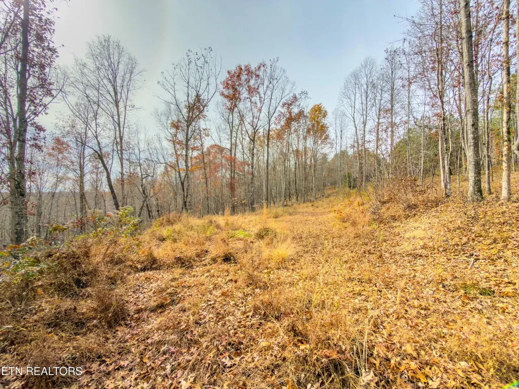 9745 Morgan County Highway Sunbright TN 37872