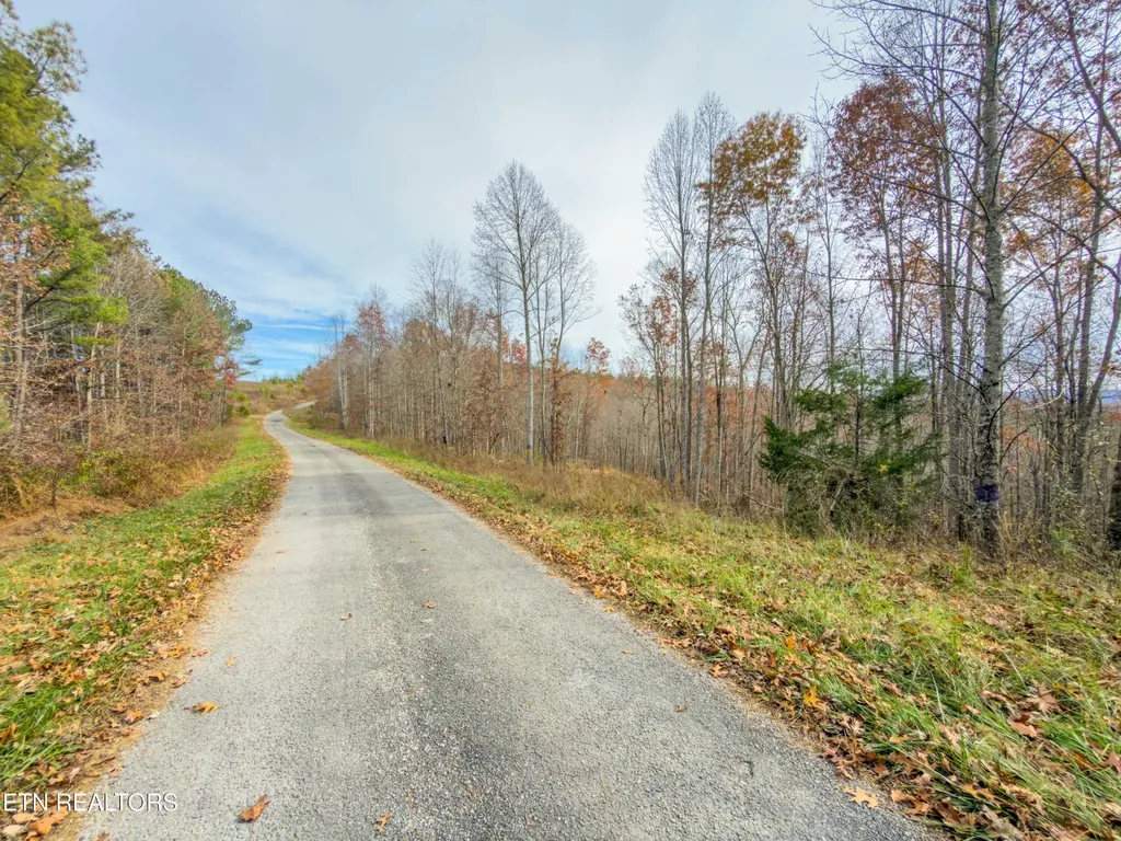 9745 Morgan County Highway Sunbright TN 37872