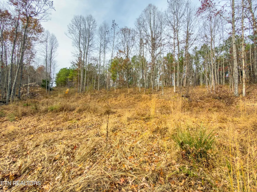 9745 Morgan County Highway Sunbright TN 37872