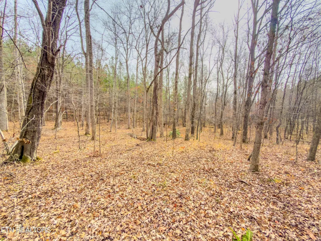9745 Morgan County Highway Sunbright TN 37872