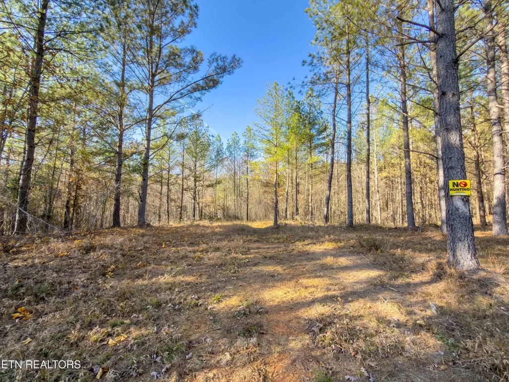 9745 Morgan County Highway Sunbright TN 37872