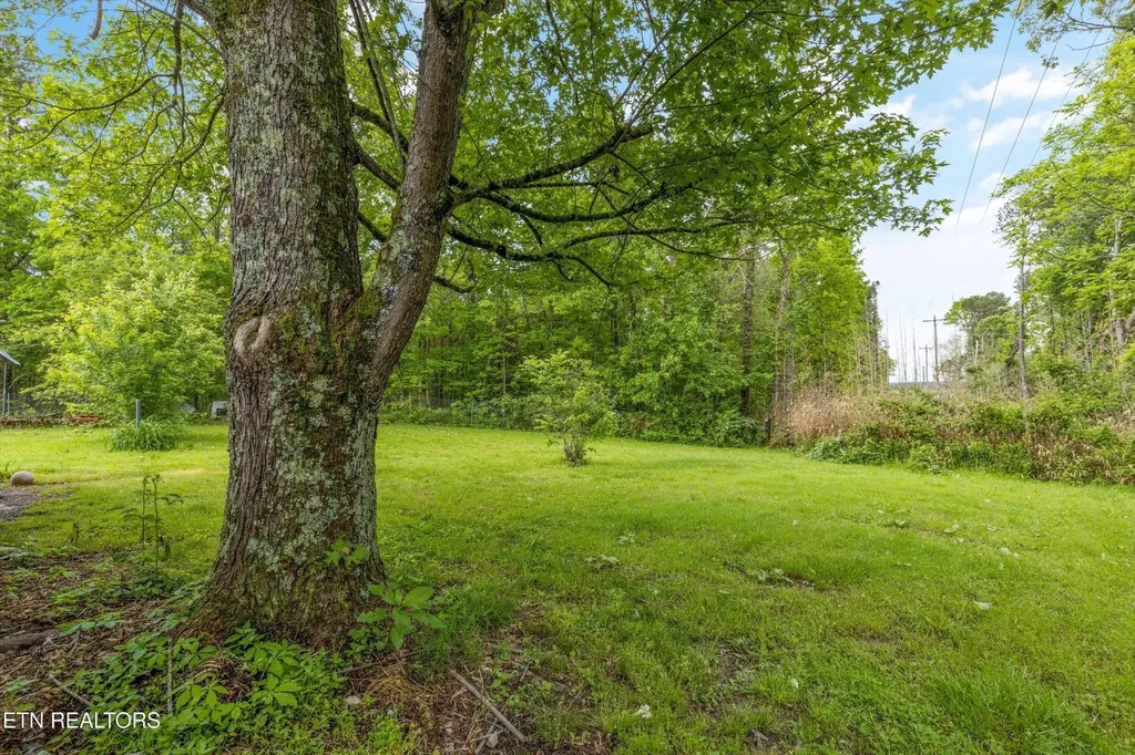 9438 Morgan County Highway Sunbright TN 37872