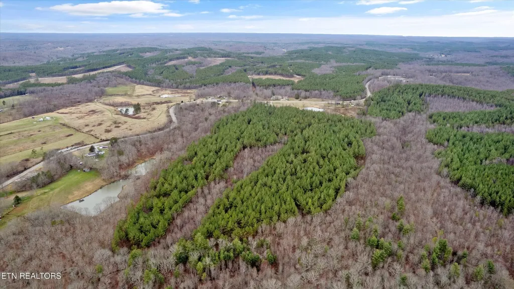0 Morgan Co Highway Sunbright TN 37872