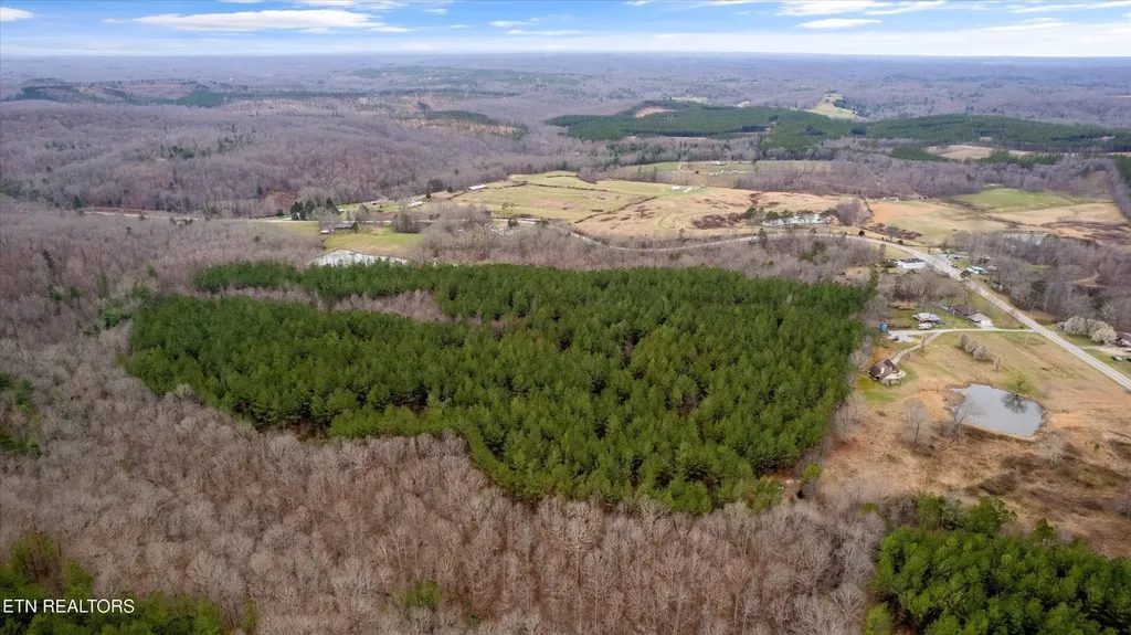 94380 Morgan County Highway Sunbright TN 37872