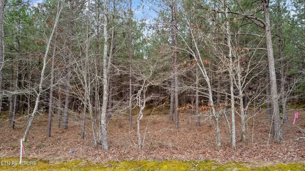 94380 Morgan County Highway Sunbright TN 37872