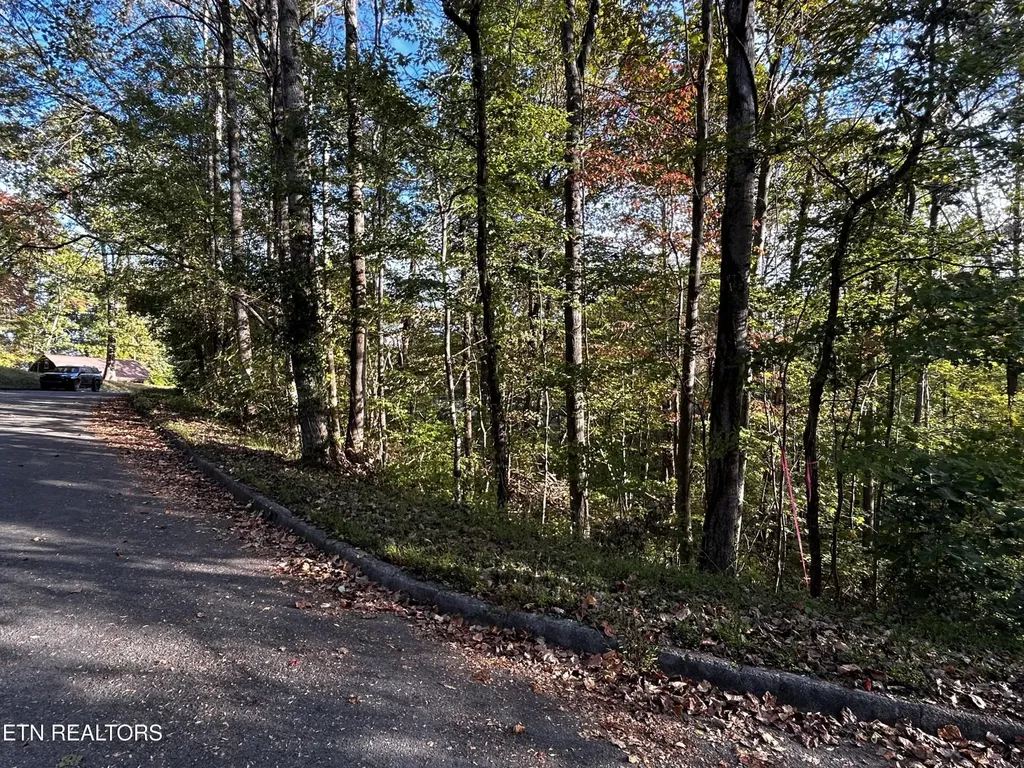 18 Revere Avenue Clinton TN 37716