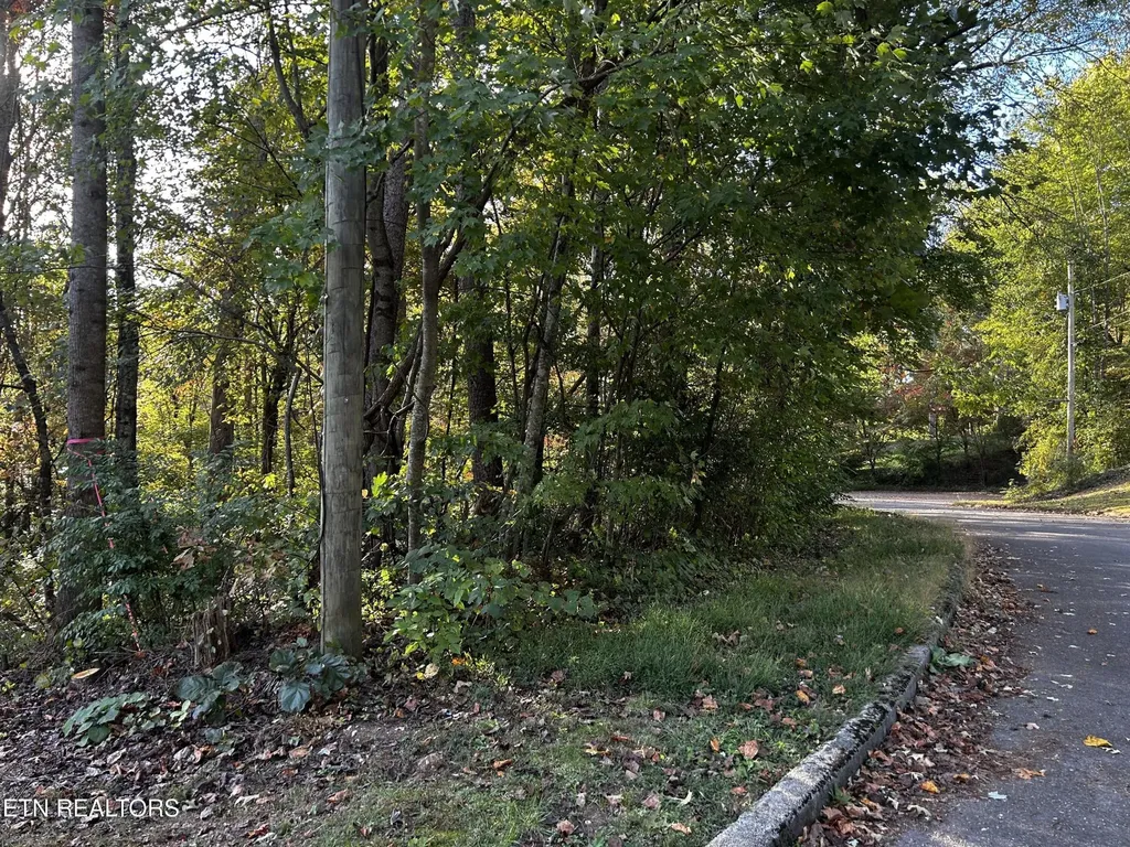 18 Revere Avenue Clinton TN 37716