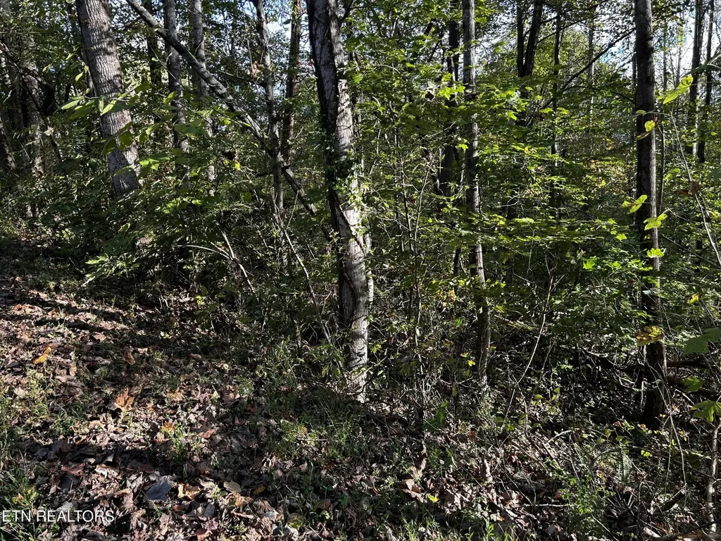 18 Revere Avenue Clinton TN 37716