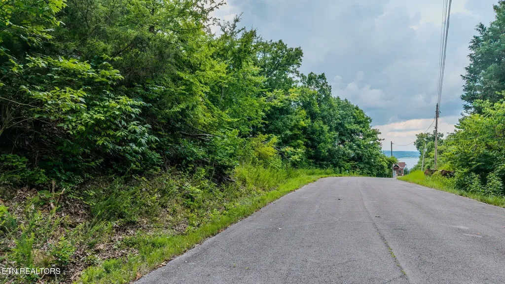 35 Fishtail Cove Dandridge TN 37725