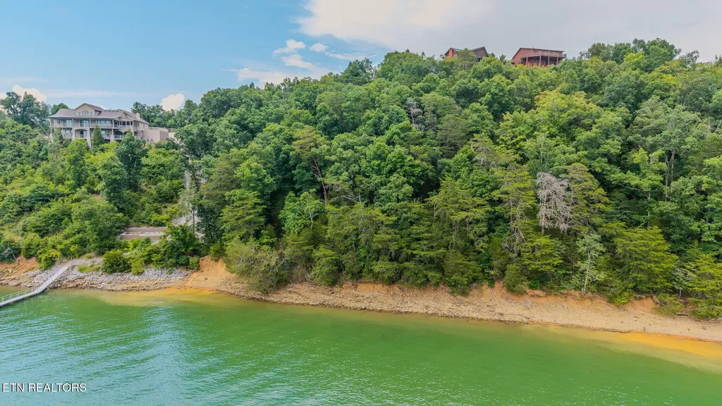 35 Fishtail Cove Dandridge TN 37725