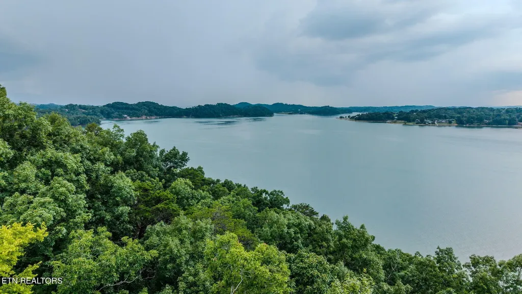 35 Fishtail Cove Dandridge TN 37725