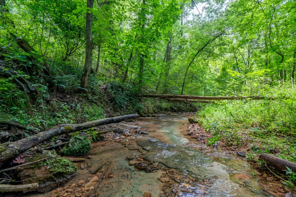 0 Bethlehem Road Springfield TN 37172