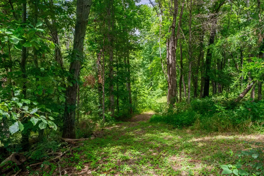0 Bethlehem Road Springfield TN 37172