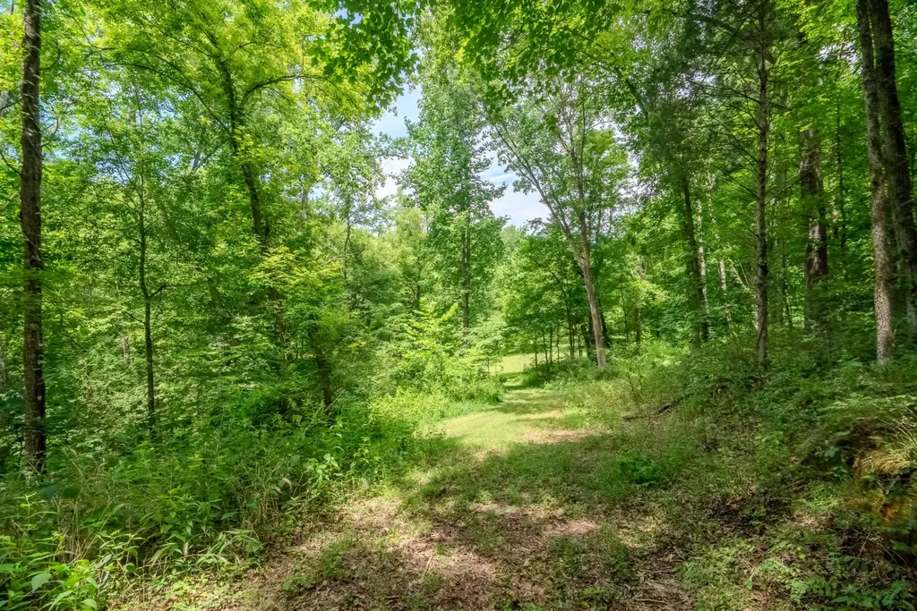 0 Bethlehem Road Springfield TN 37172