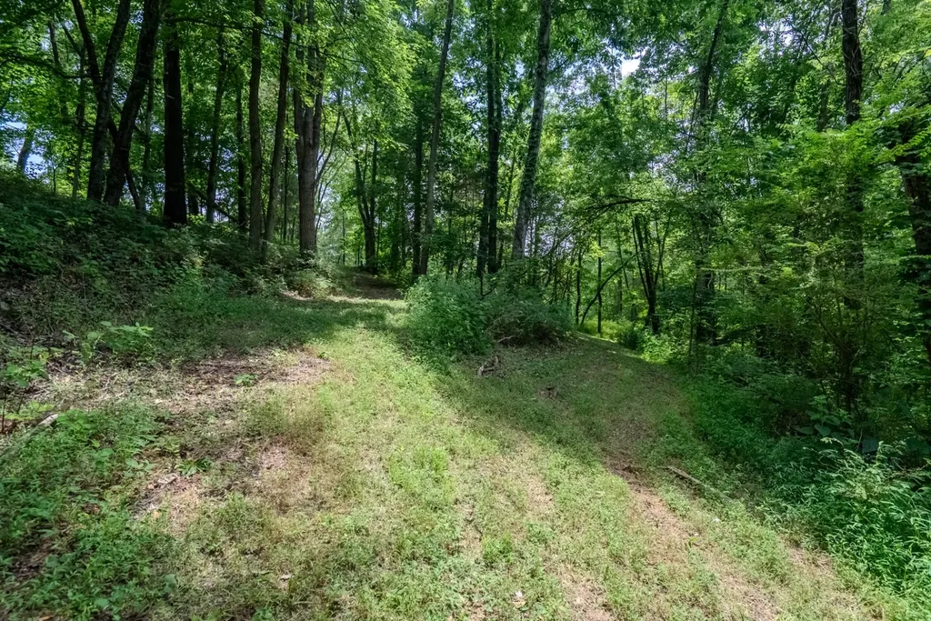 0 Bethlehem Road Springfield TN 37172