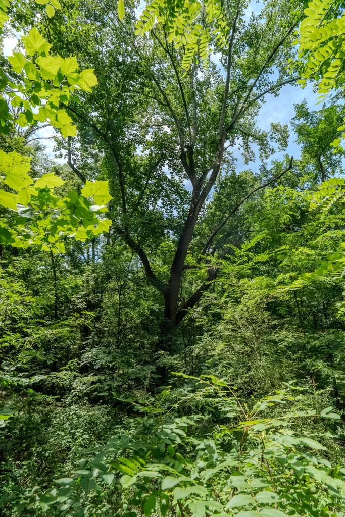 0 Bethlehem Road Springfield TN 37172