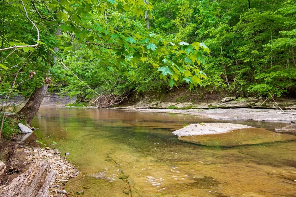 0 Crow Cut Road Fairview TN 37062