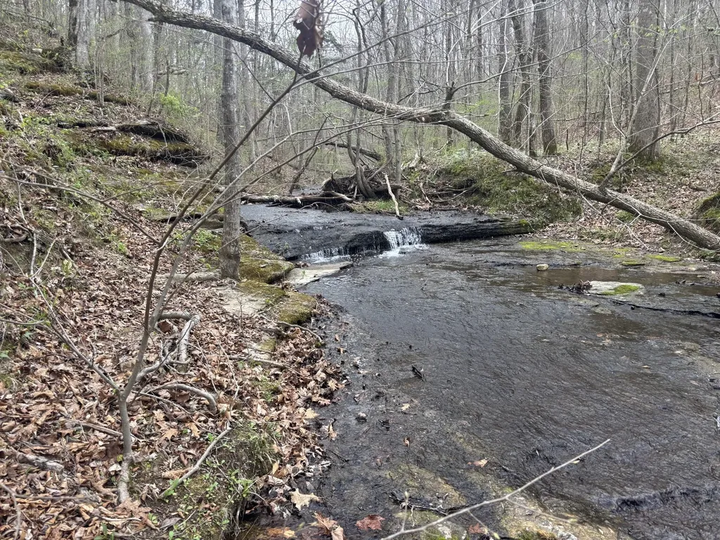 0 Crow Cut Road Fairview TN 37062