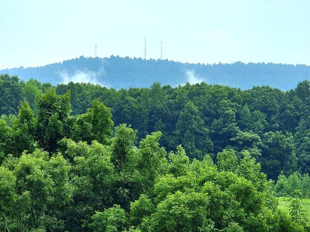 3021 Pea Ridge Road Liberty TN 37095