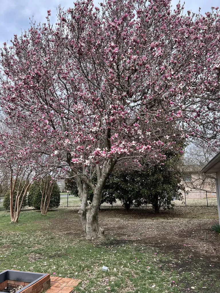 1814 Avon Road Murfreesboro TN 37129