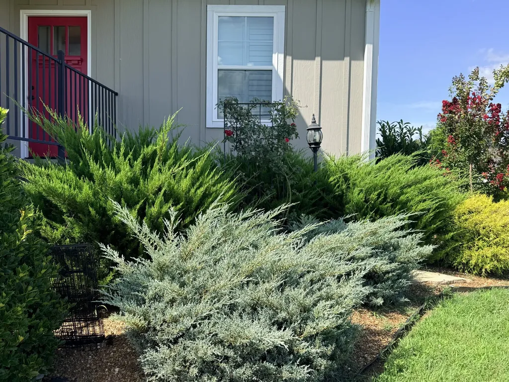 124 Droon Drive Mcminnville TN 37110