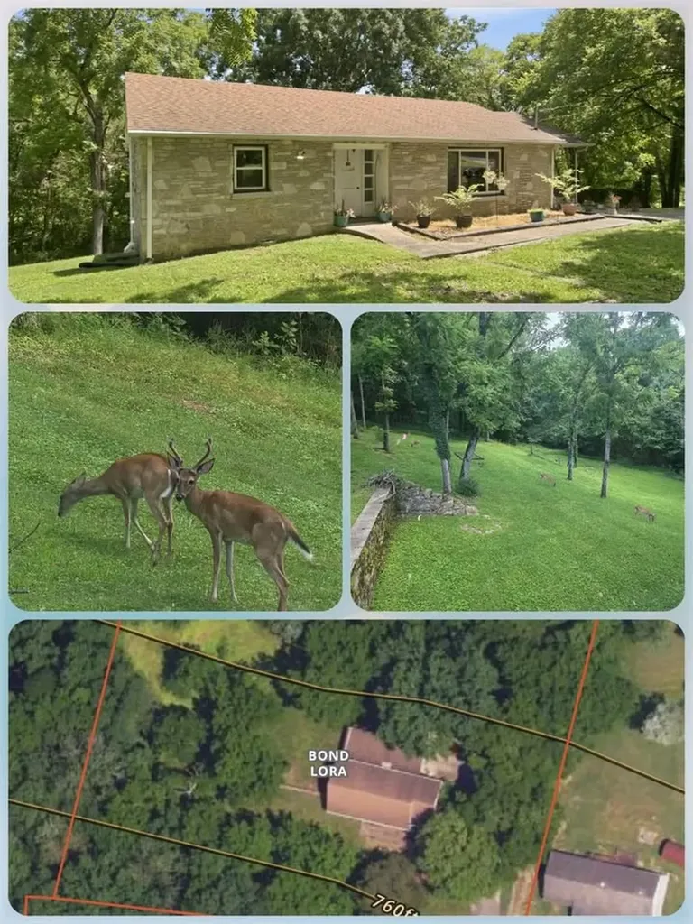 215 Wallace Drive Fayetteville TN 37334
