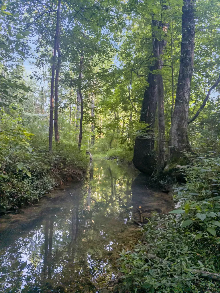 5000 Highway 100 Lyles TN 37098