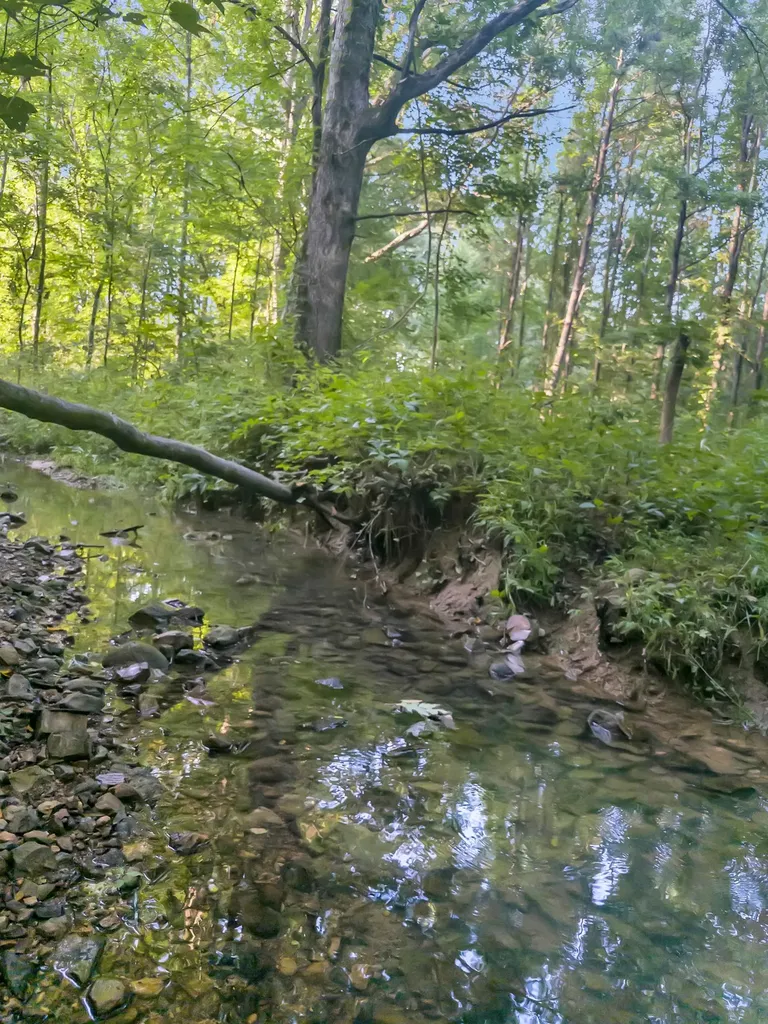 5000 Highway 100 Lyles TN 37098